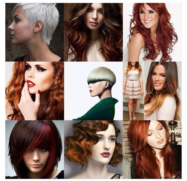 Color &amp; Cuts