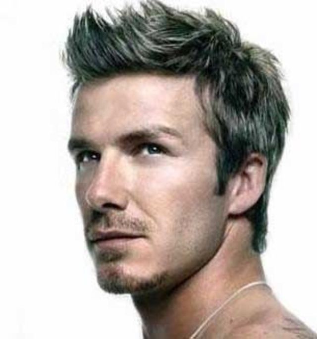 David beckhams 