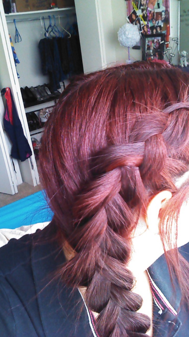 Dutch Braid Up Close