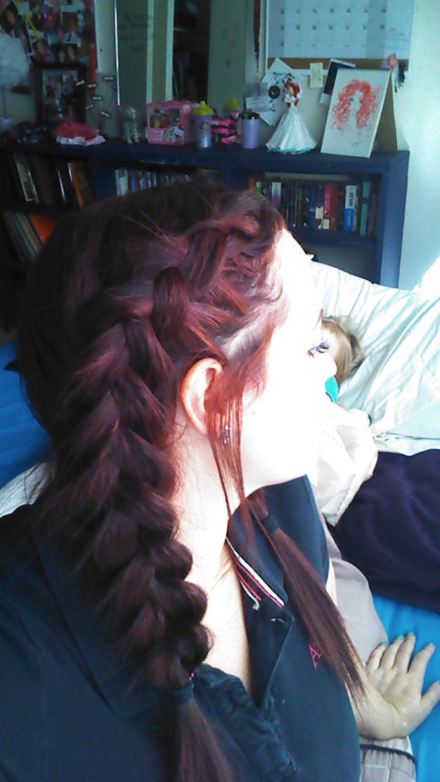 Dutch Braid