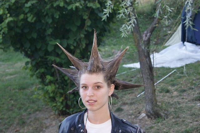 Edgehog 