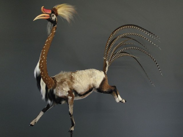 Enrique-Gomez-de-Molina-Taxidermy-Hybrids-1-600x450