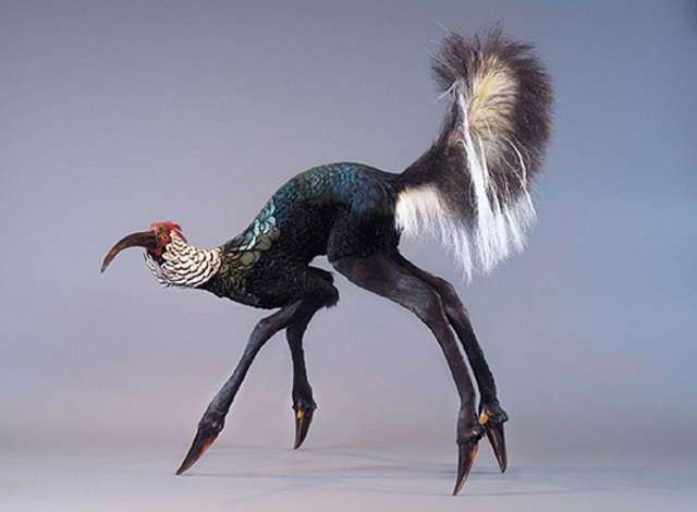 Enrique-Gomez-de-Molina-Taxidermy-Hybrids-3