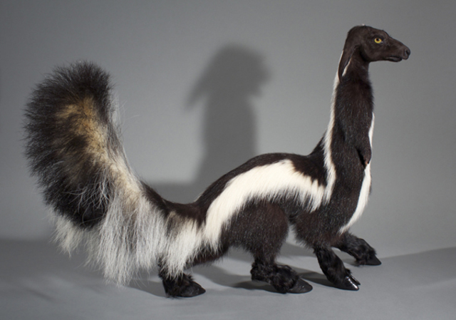 Enrique-Gomez-de-Molina-Taxidermy-Hybrids-4