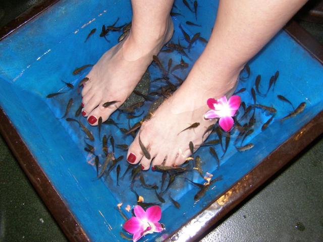 Fish-Pedicure2