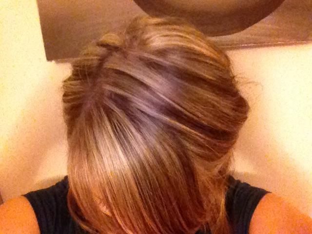 Full head of Highlights.