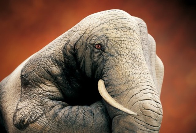 Guido Daniele Bangstyle.Com 11