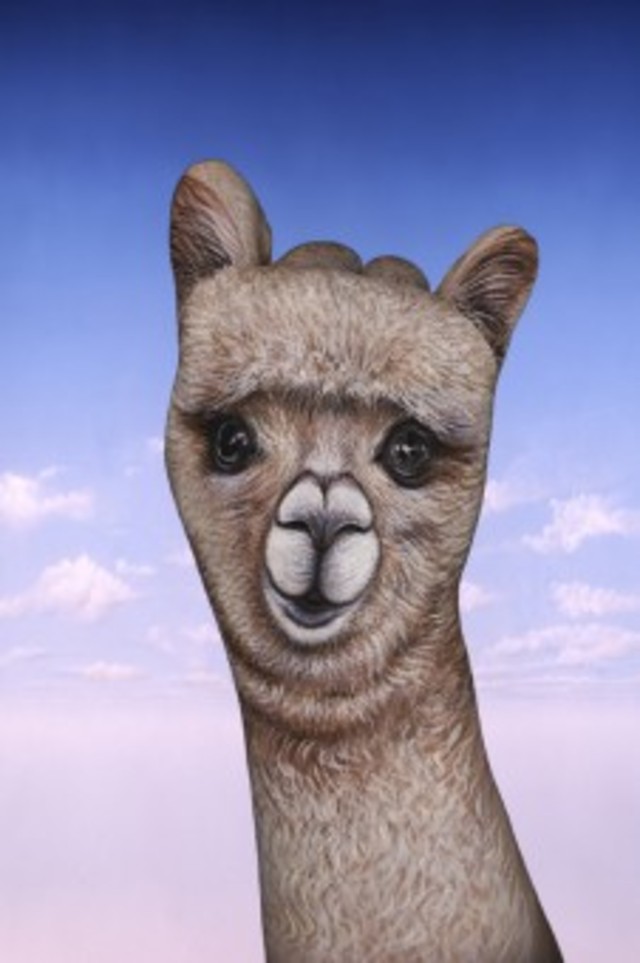 Guido Daniele Bangstyle.Com 12