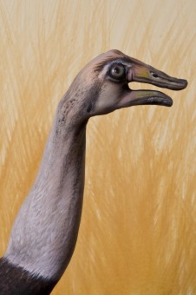 Guido Daniele Bangstyle.Com 14