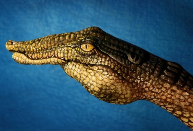 Guido Daniele Bangstyle.Com 18