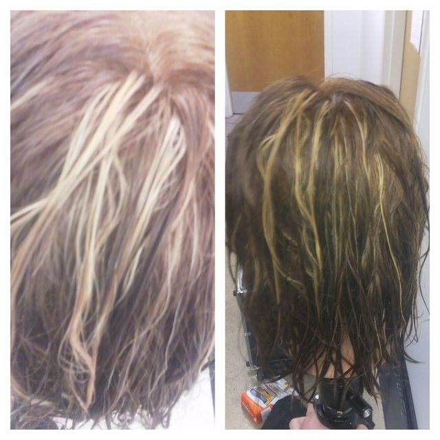 Highlights