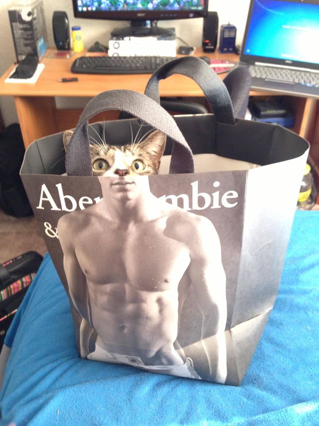 I eatz lean meow mix