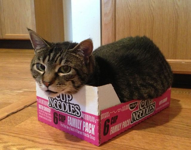 I fits I sits