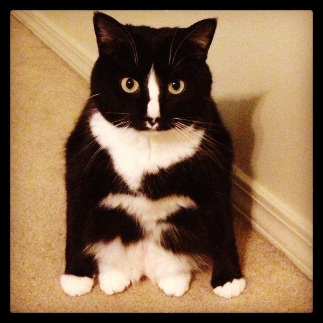 I sits