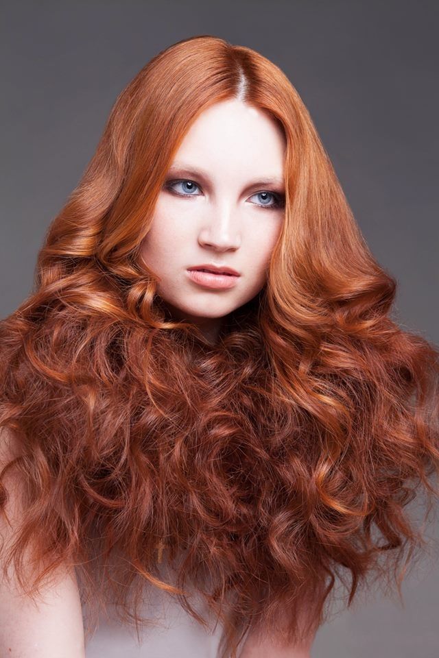 Lioness, Competition entry 2013 