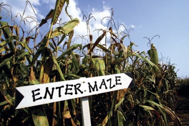 Lost Corn Conners Farms Maze Bangstyle