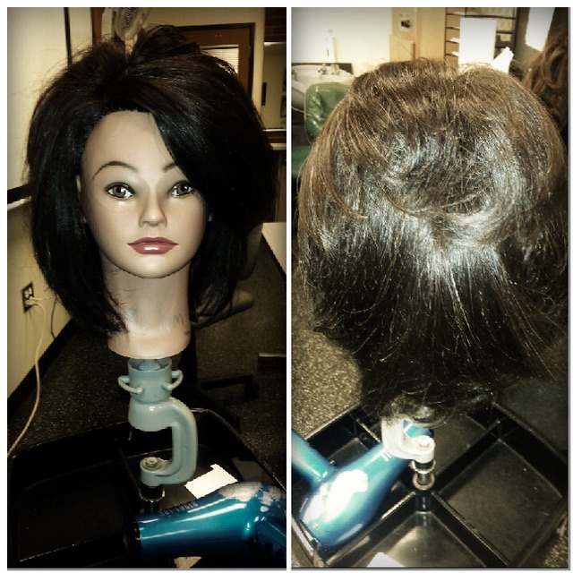 Maniqunnes blowdry