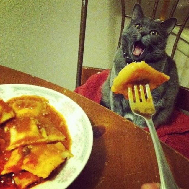 Noooooommmm!!!!