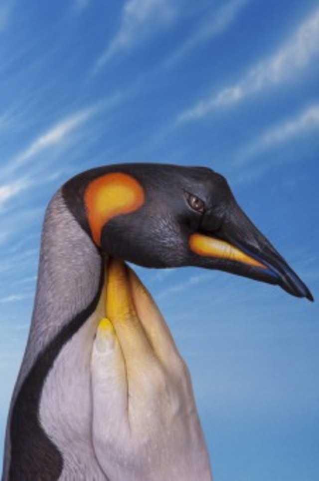 Penguin-260x340