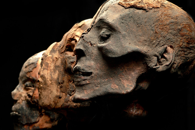 Mummies of the World Day 2