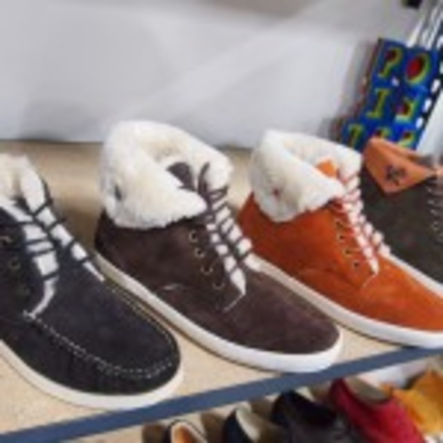 Pointerfootwear2