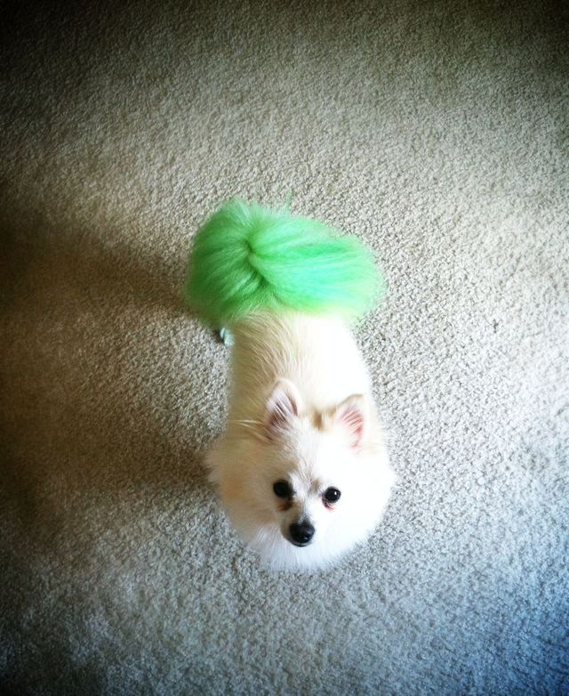 Rocko gets colored too