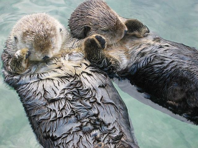 I Wanna Hold Your Hand