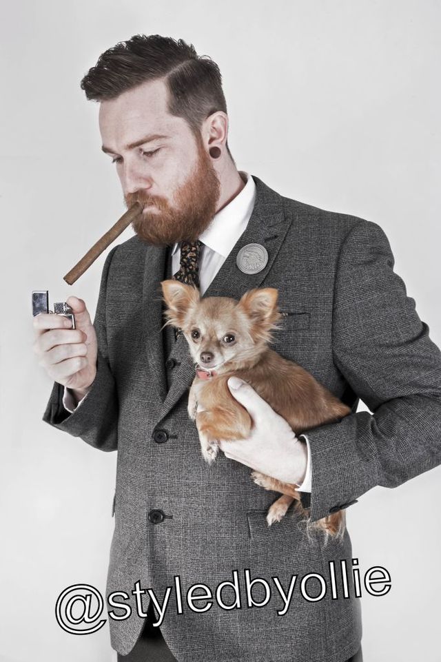 The Bearded Gent 