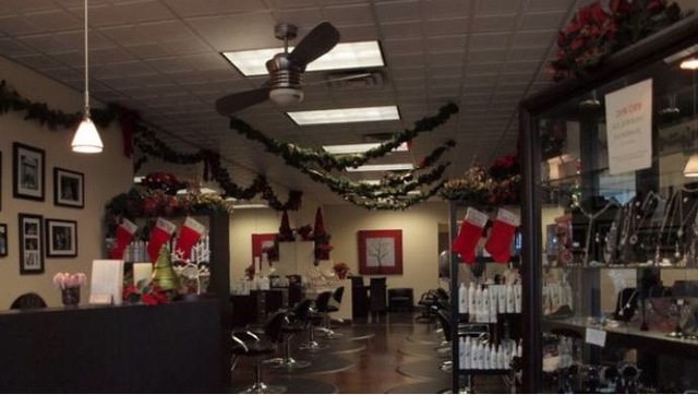 Vasari Salon Bangstyle