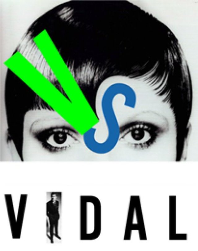 Vidal SassoonThe Movie