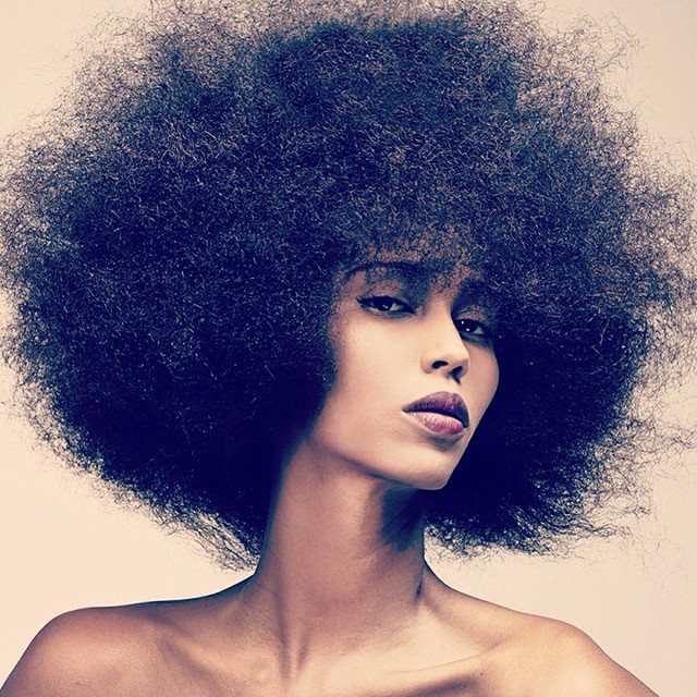 All about hair 