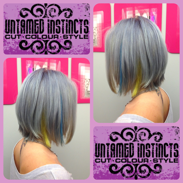 SILVER GRAY + Blue & Yellow Peek-a-Boos