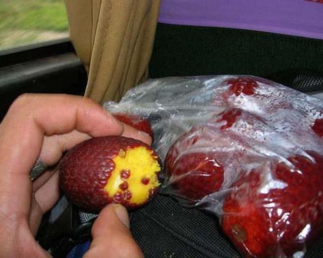 aguajefruit