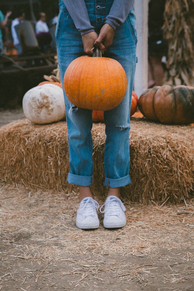Re sized a16d2ac72d036ffc421a jakob owens ycx5qmnfuke unsplash