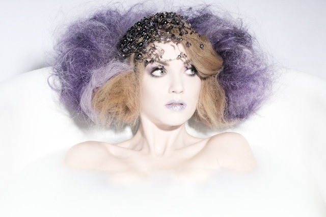 Oiseau Salon - Creative I