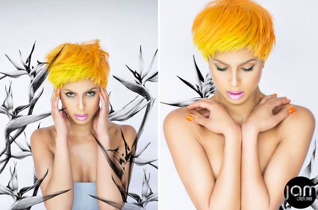Tropic Of Colours by Jam Deluxe