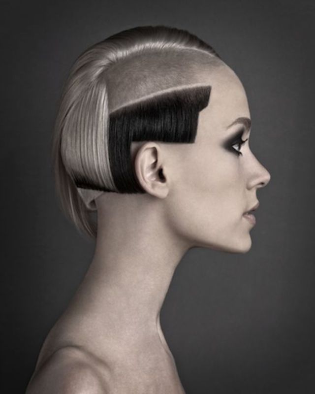 Shape Collection