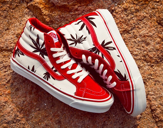 Vans Palm Leaf