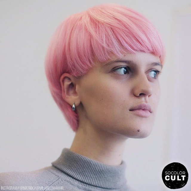 Re sized a6fb5260fd891b778e52 pixie