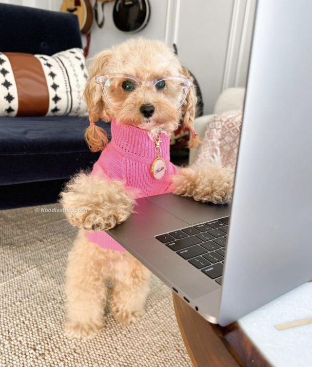 Re sized a711d1e385082d7eb8aa screen shot 2022 05 02 at 2.11.06 pm