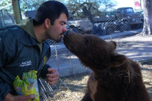 Lujan-Zoo