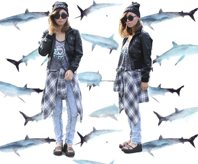 fashdream2