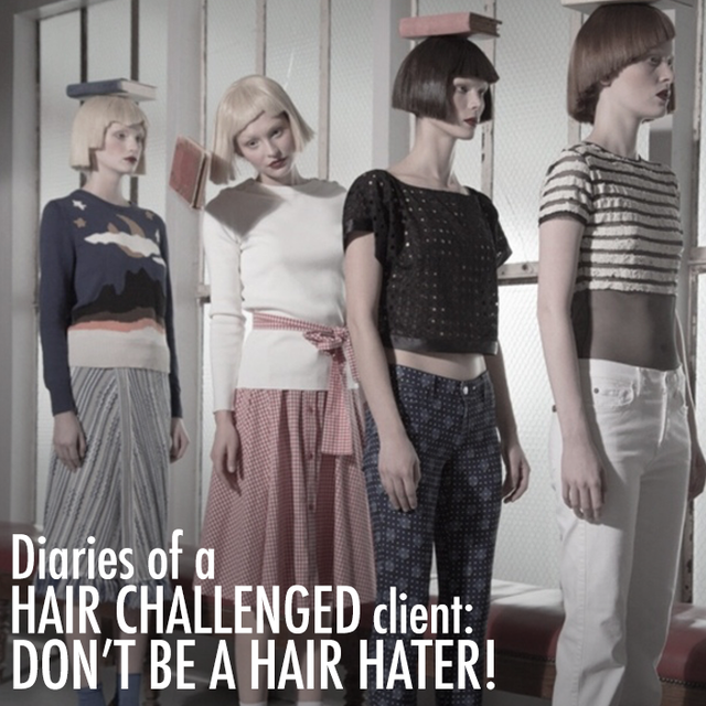 Re sized aa100460f24cda572b81 diaries  hair hater