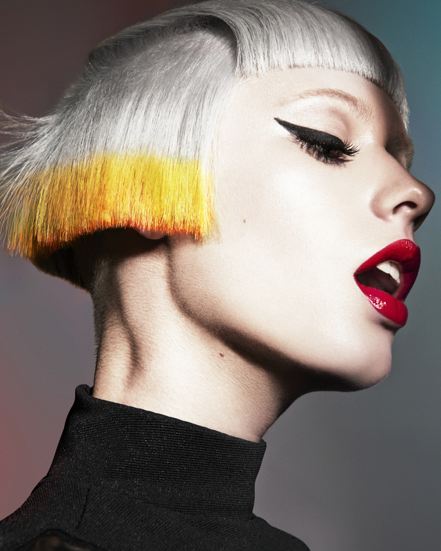 BHA Colour technician collection 2013