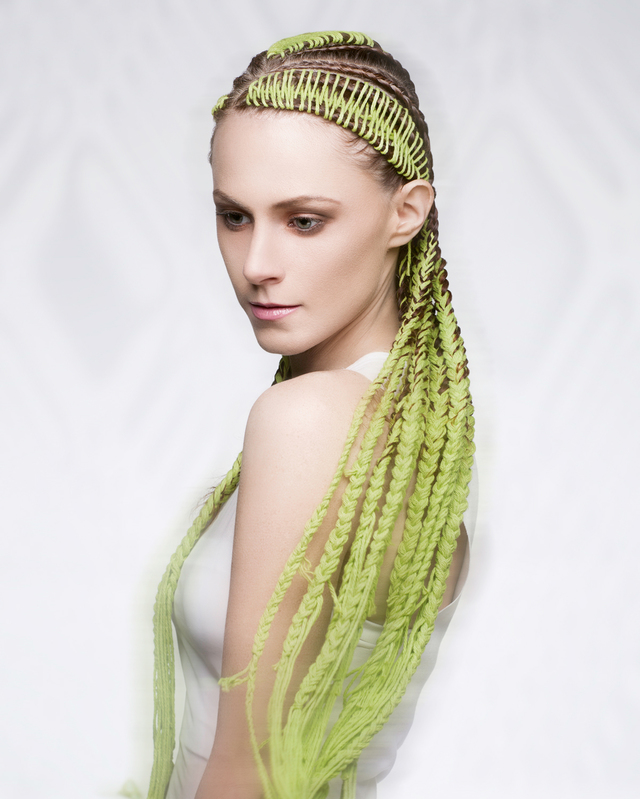 2017 NAHA Master Stylist of the Year Finalist 