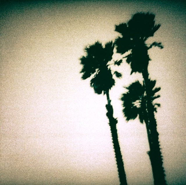 Twlight Singers Blackberry Belle