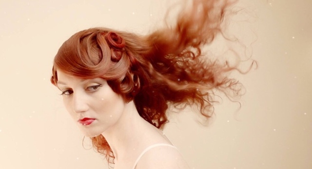 Wings inspired collection by  Shelley pengilly  