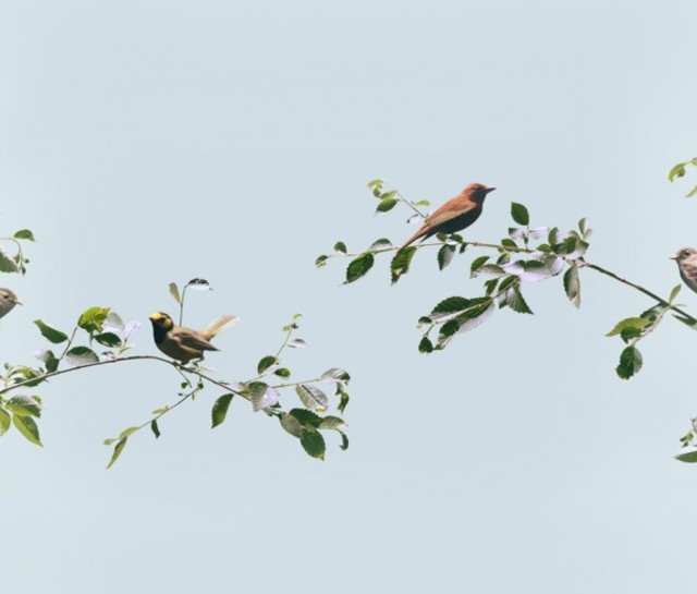 andrew-myers-photography-8-600x511
