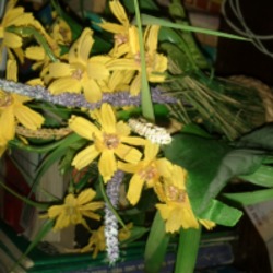 Re sized avatar 1342529445 200x200