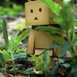 Re sized avatar 1345694230 200x200